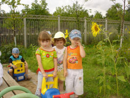 Экологическая комната «Лукоморье» Экологическая комната «Лукоморье»