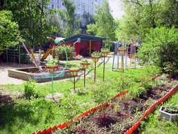 Детский сад № 733 Детский сад № 733