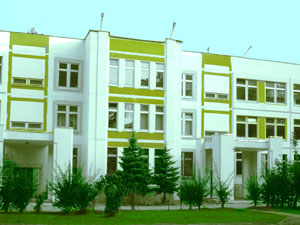 Детский сад № 971 Детский сад № 971