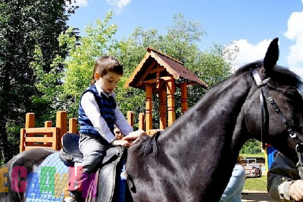 Частный детский сад "Светлячок"