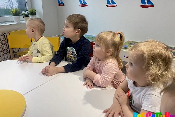 Детский центр «Ладушки Град» (г. Видное)