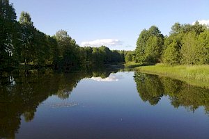 Творческие смены в семейном лагере "Полный контакт!"