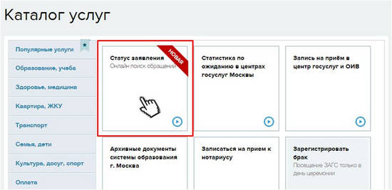 Как проверить статус заявления на госуслугах. Портал городских услуг.