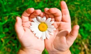 Частный детский сад 