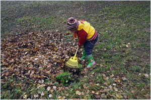 Уборка во дворе