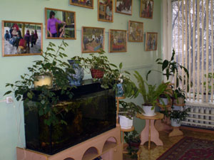 Оборудование в детском саду № 677