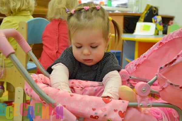 Петровская школа (ранее Центр дошкольного образования Little Star при "Петровской школе")
