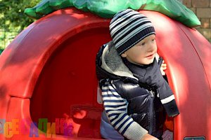 Петровская школа (ранее Центр дошкольного образования Little Star при "Петровской школе")