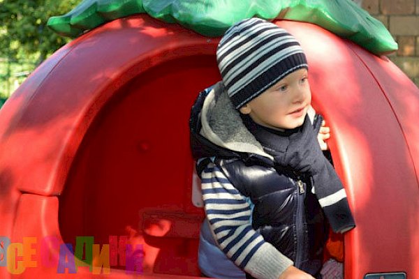 Петровская школа (ранее Центр дошкольного образования Little Star при "Петровской школе")