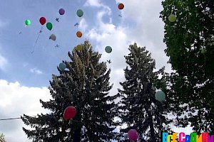 Коммерческие группы Детского сада № 43 Управления делами президента РФ