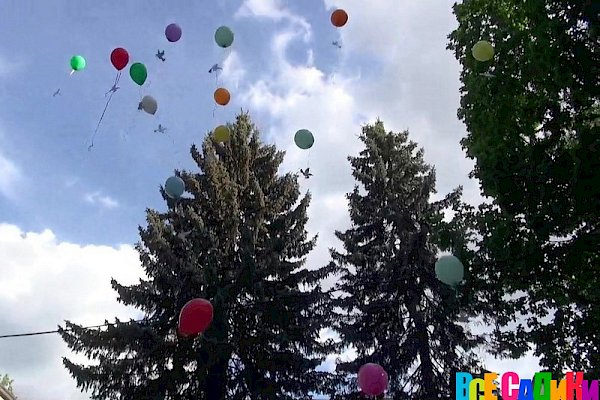 Коммерческие группы Детского сада № 43 Управления делами президента РФ
